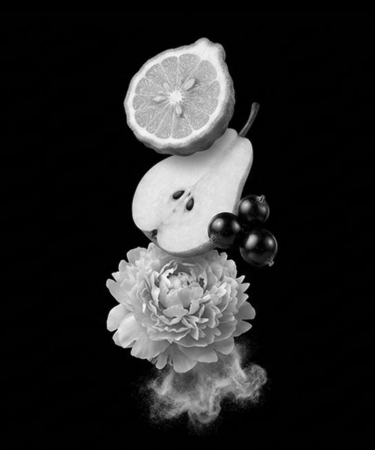 The Ball